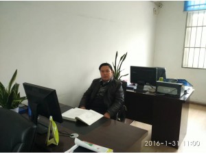 我们的教师团队